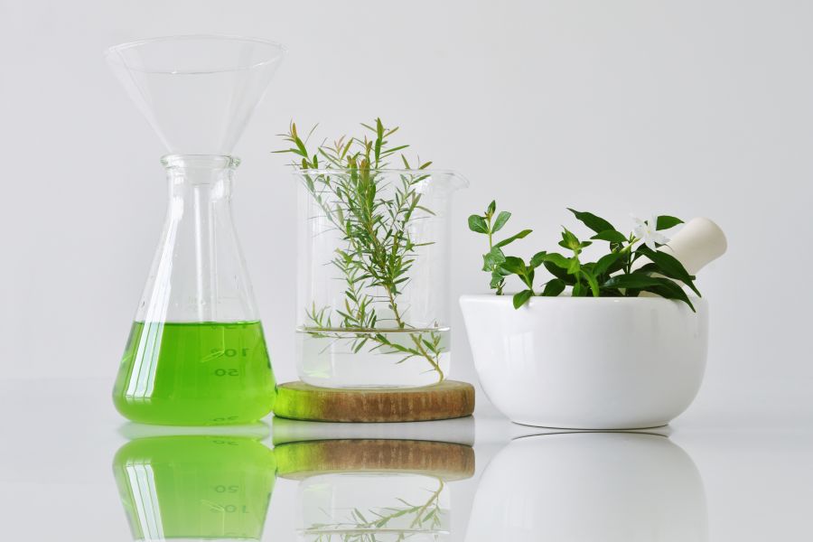 plants in lab beakers, green liquid in beaker
